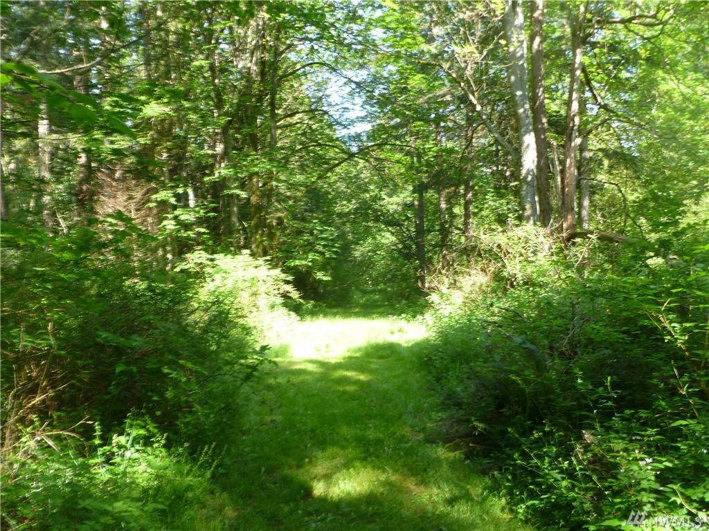 0 Homestead Lane - Photo 1