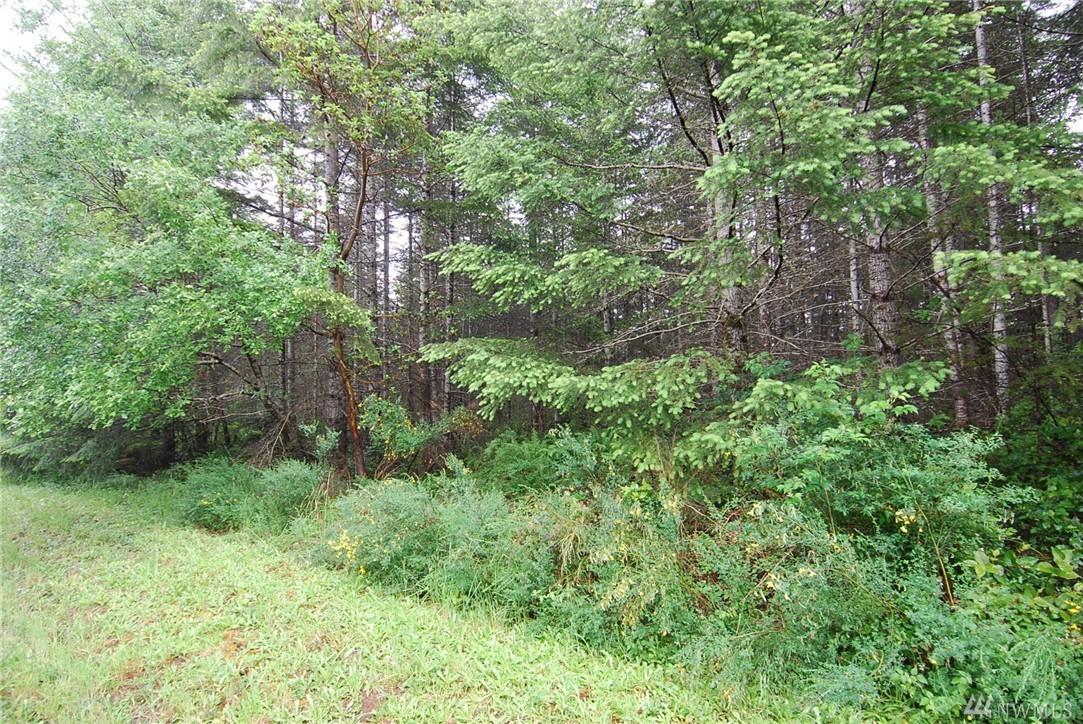 0-xxx Elaine Place - Photo 1