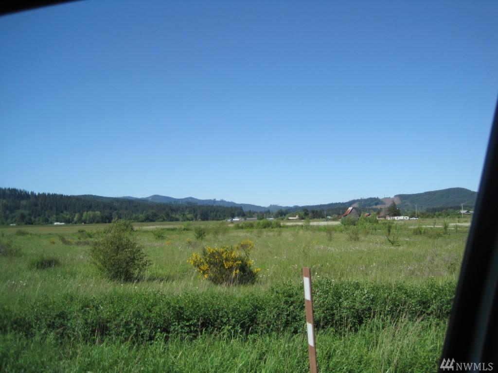 785 Pe Ell Mcdonald Rd - Photo 1