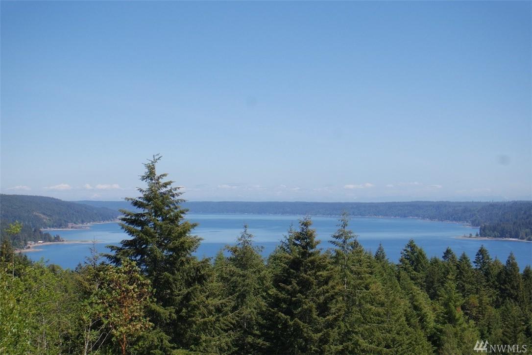 0-Lot 11 South Ridge Dr - Photo 1