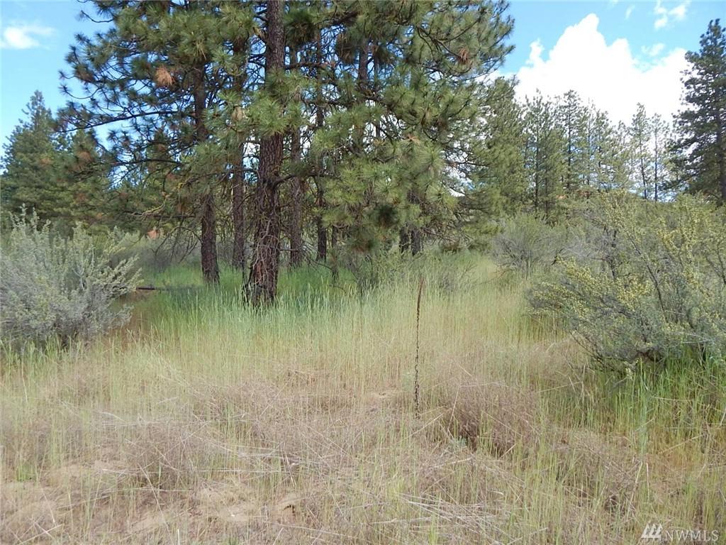 25860-Lot 25 Rock Bluff - Photo 1