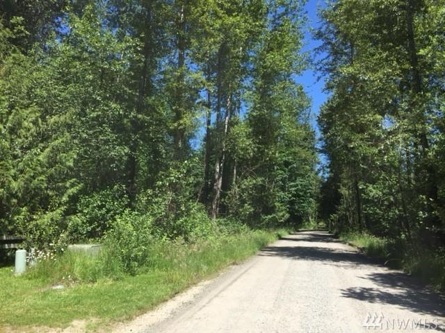 24604 148th Ave - Photo 1
