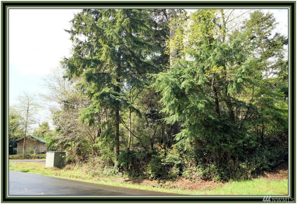 260 Lake View Lp - Photo 1
