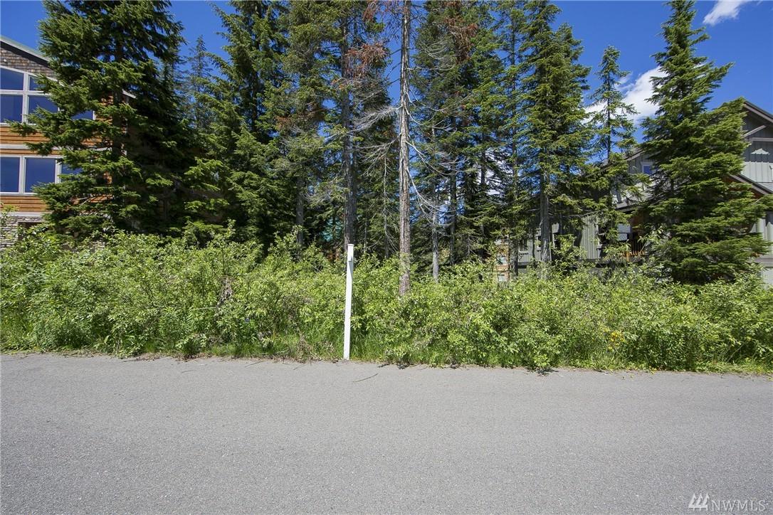 26 Guye Peak Lane - Photo 1