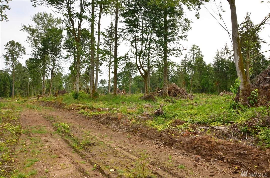 0 Lummi Shore Rd - Photo 1