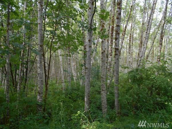 31 Garrett Ct - Photo 1