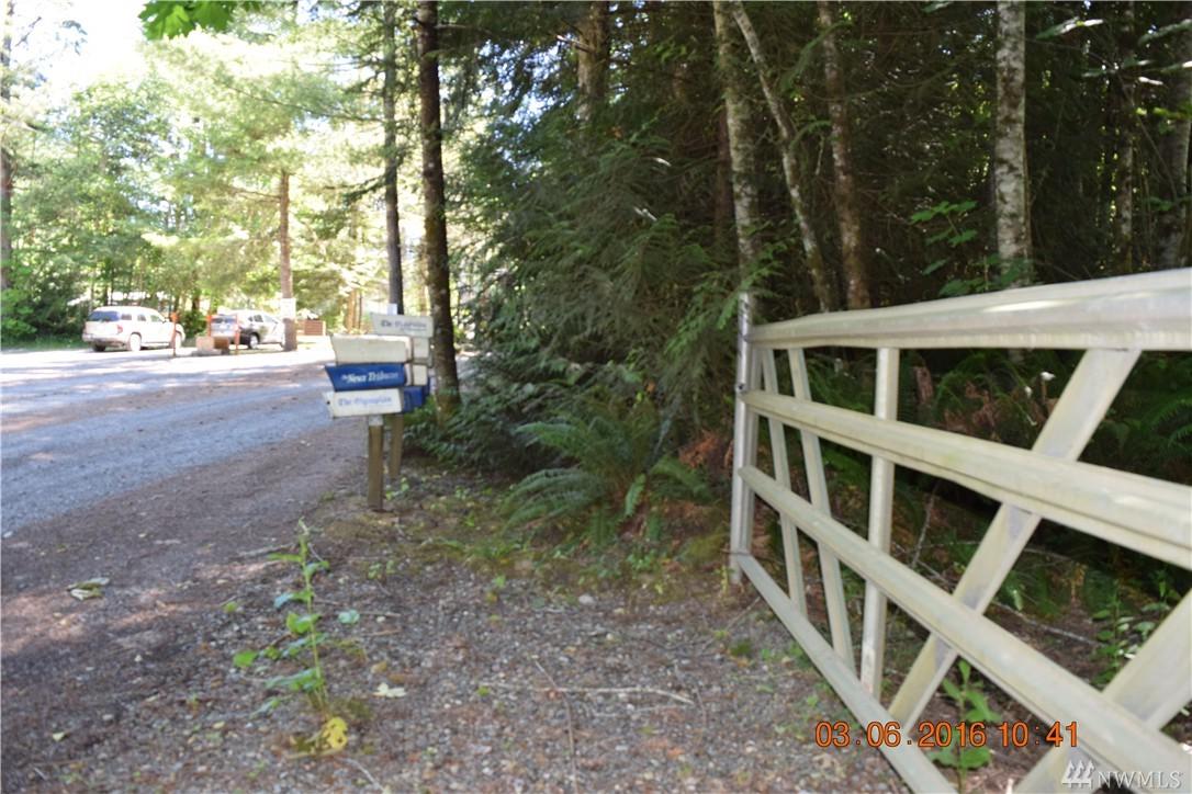 0 Pleasant Forest Rd - Photo 1