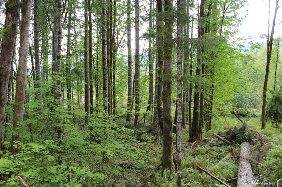 3-Lots Rocky Brook Rd - Photo 1