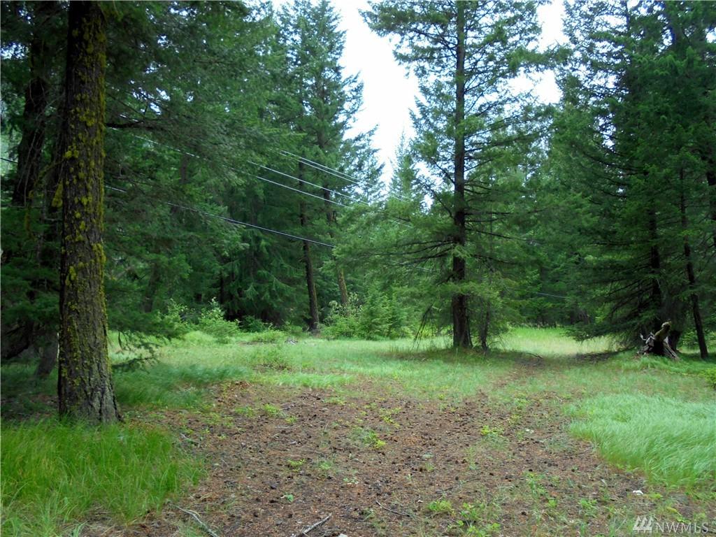 0-Lot 27 Cedarosa - Lost River Rd - Photo 1