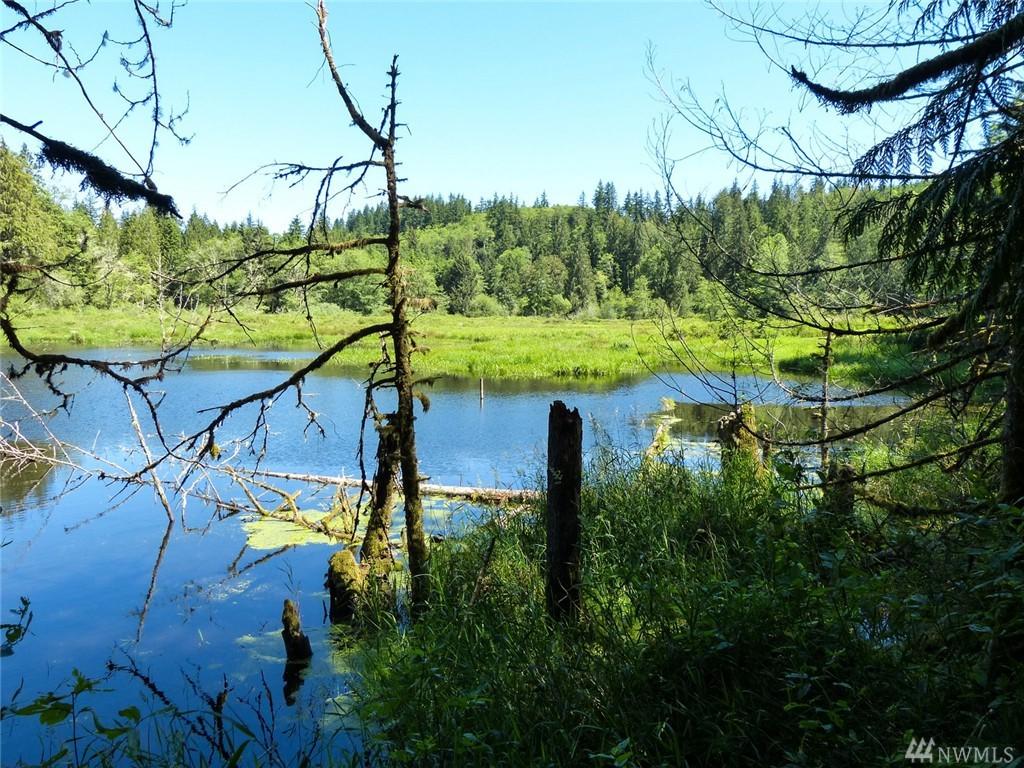 2582 Snow Creek Rd - Photo 1