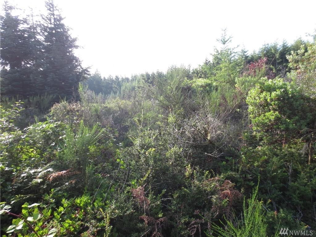 12-+ ac Island Dr - Photo 1