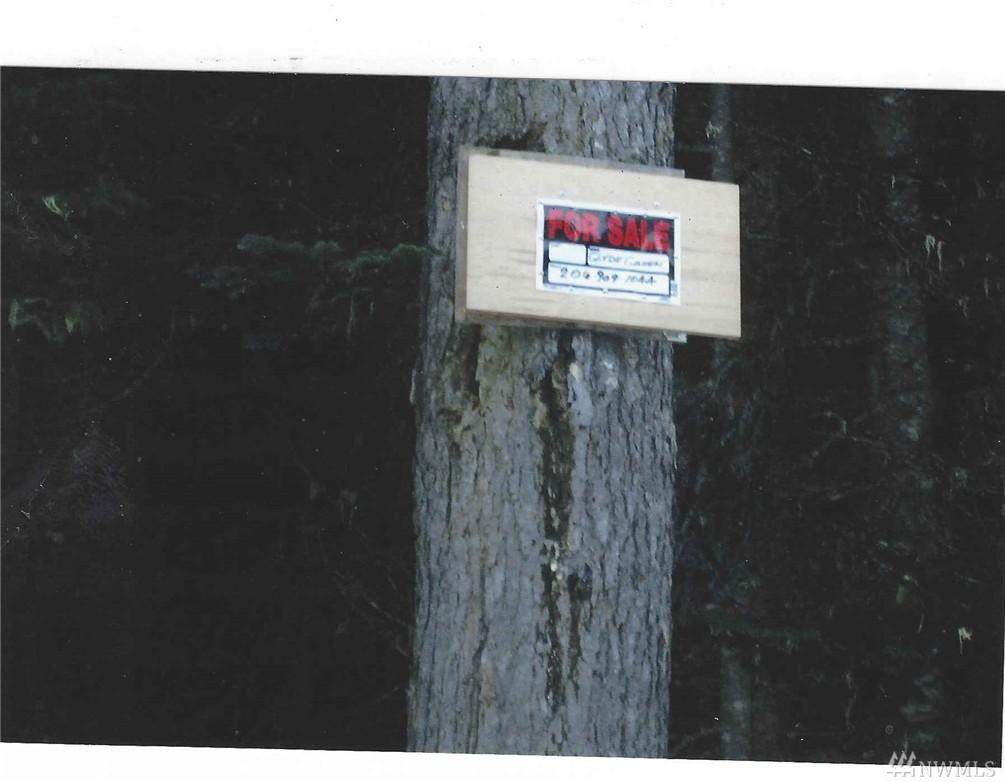 34293 Nason Rd - Photo 1