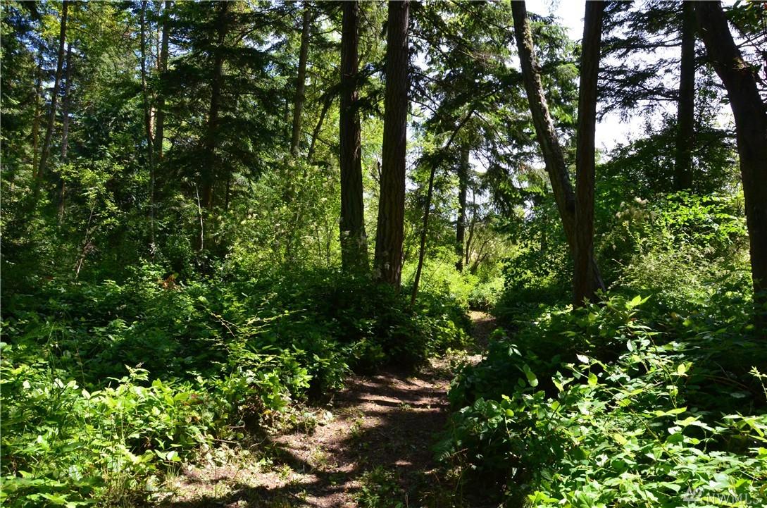 6 Rainier - Photo 1