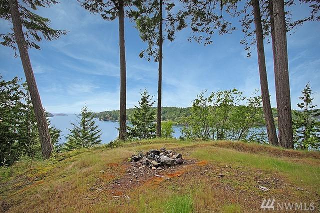 501 Lou's Lane - Photo 1