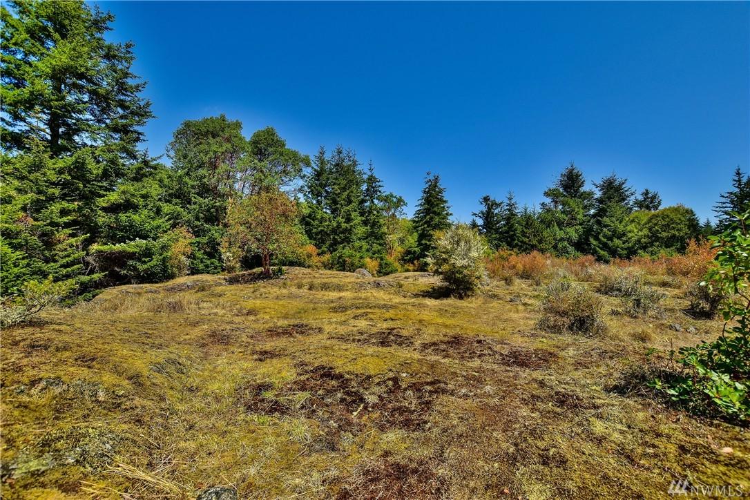 0 View Ridge Lane - Photo 1