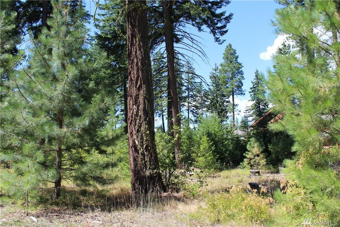 840 Snowberry Lp - Photo 1