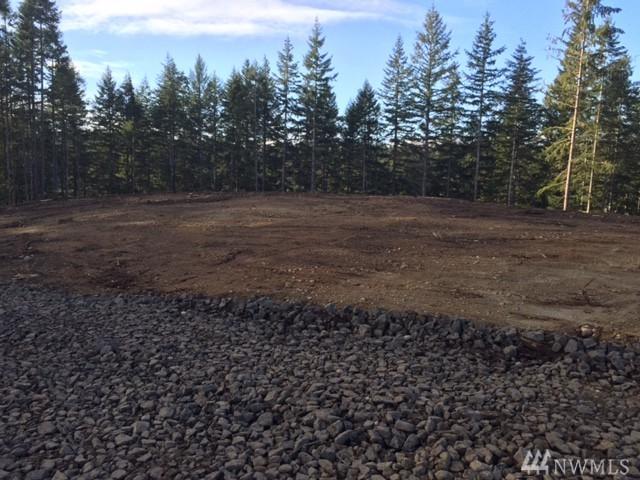 999 Olympic View Rd - Photo 1