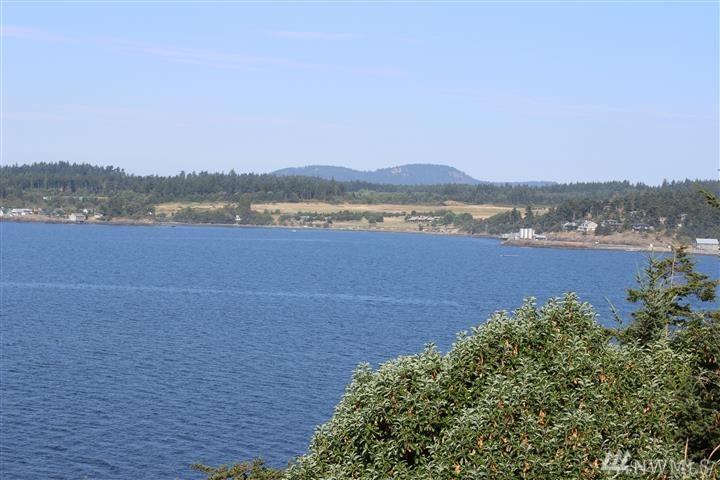 0-Lots 9 & Pear Point Rd - Photo 1