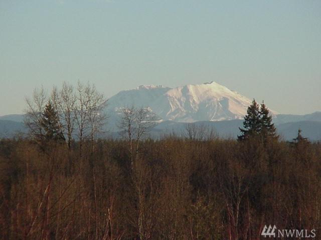 111 Volcano Lane - Photo 1