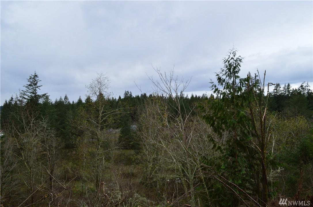 12511 133rd Ave - Photo 1