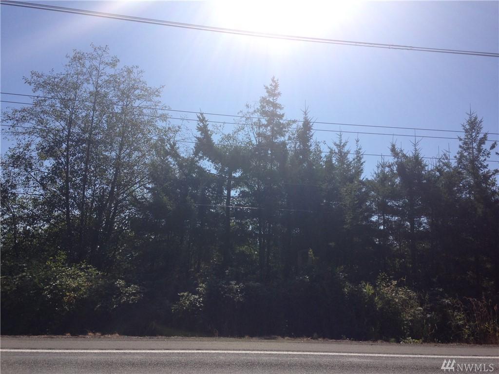 0 Birch Bay Lynden Rd - Photo 1