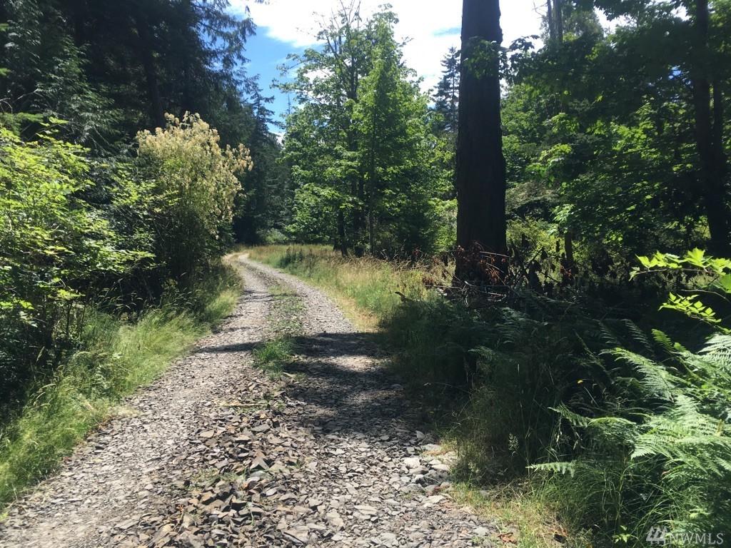 0 Lopez Pass Rd - Photo 1