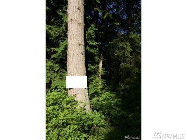 0 Arrowhead Rd - Photo 1