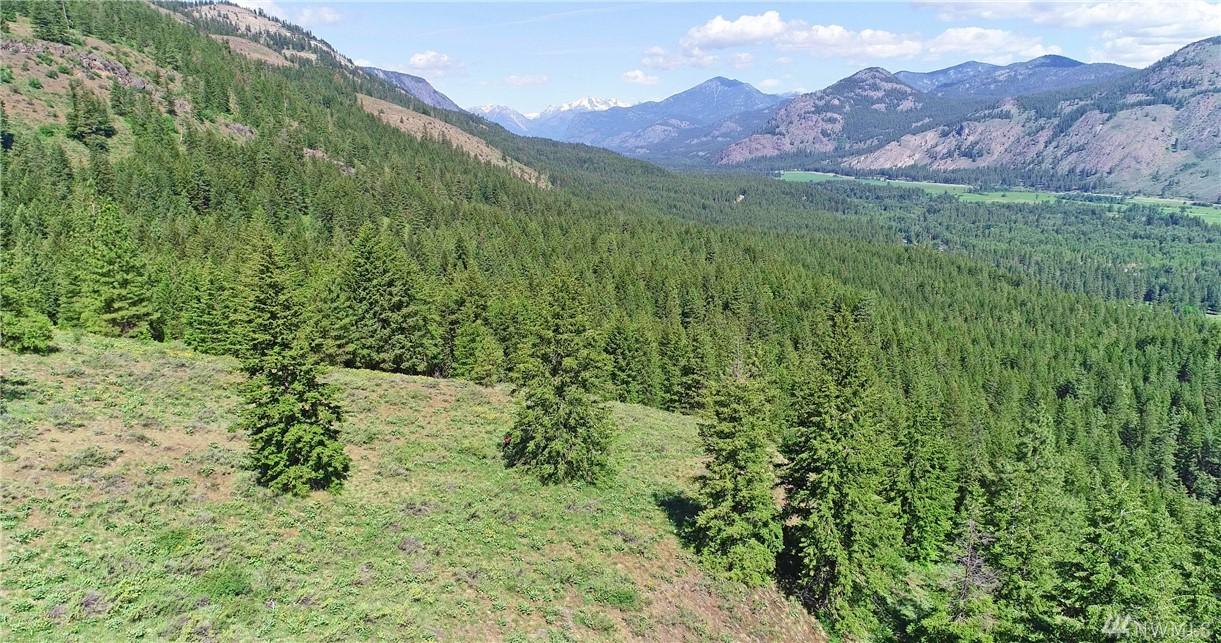 1-X Wolf Creek Rd - Photo 1
