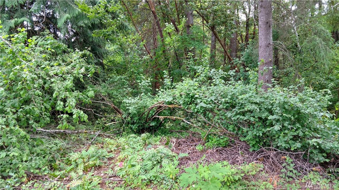 0 Ellinor Ave - Photo 1