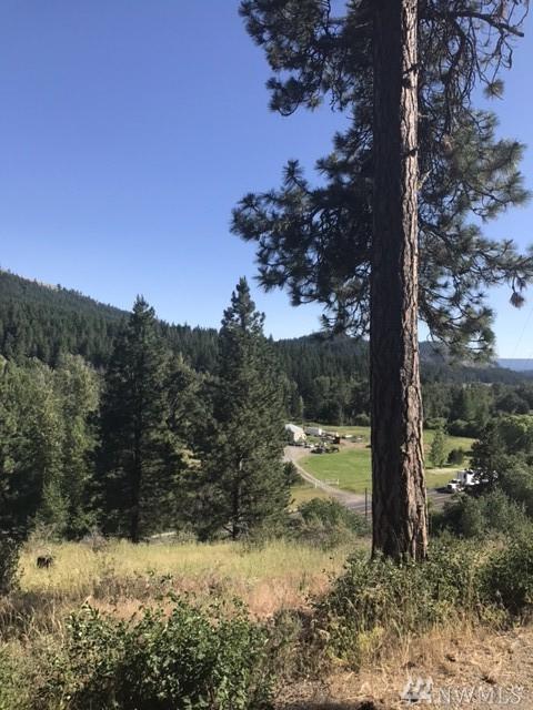 173 Highway 97 - Photo 1