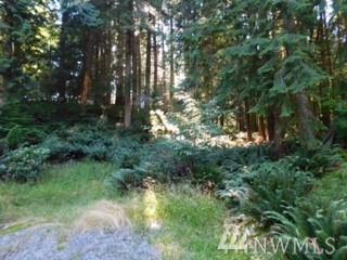 15 Gray Birch Lane - Photo 1