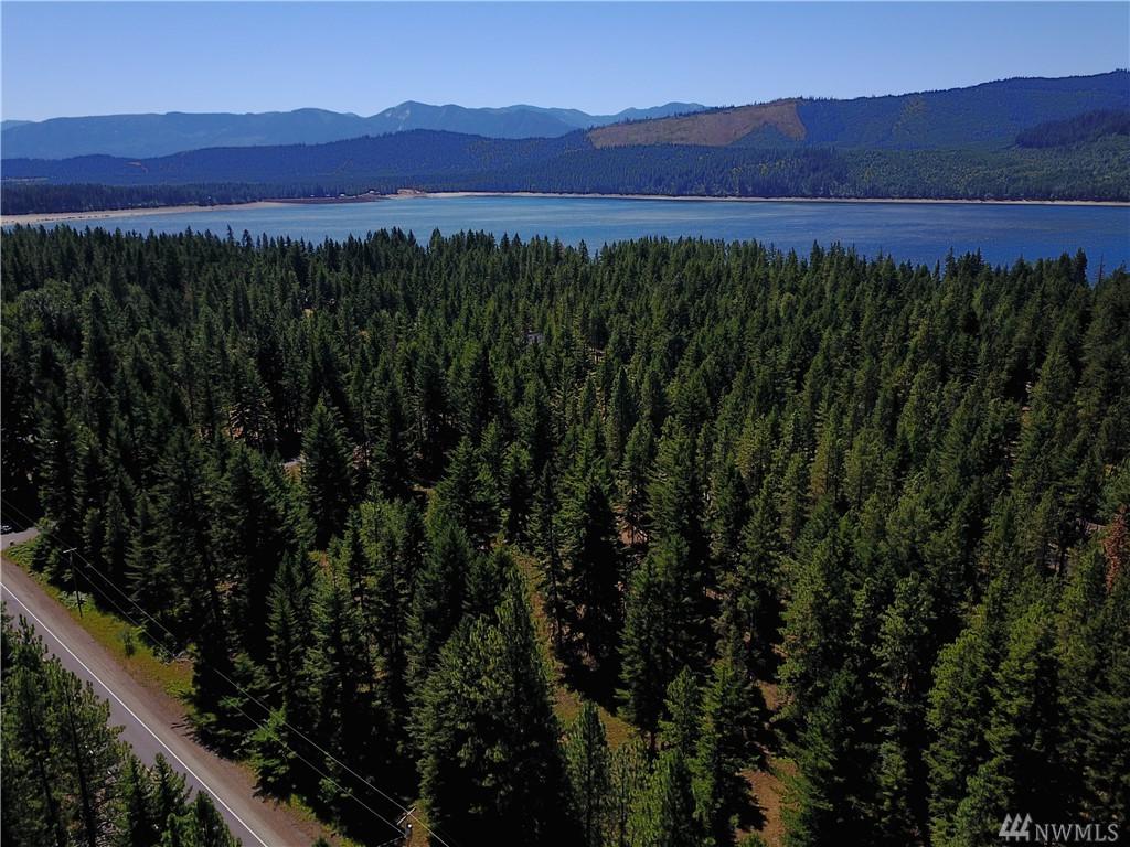 0-Lot A Salmon La Sac Rd - Photo 1