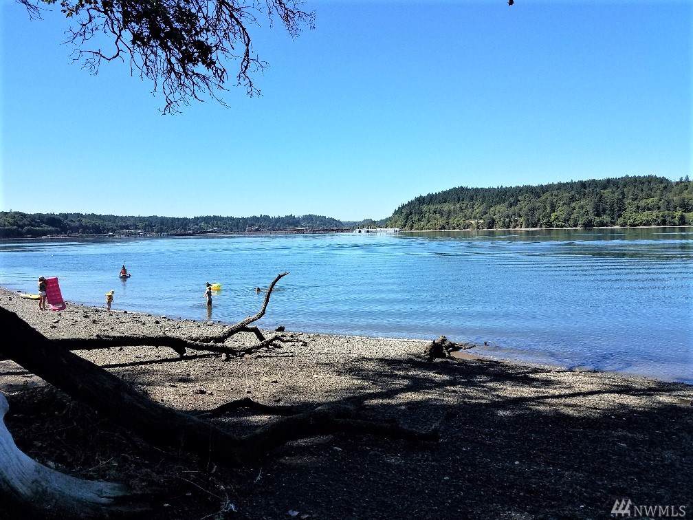 0 Shoreline Lane - Photo 1