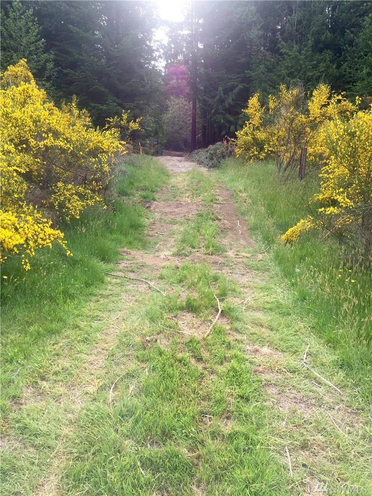 0 Roundup Lane - Photo 1