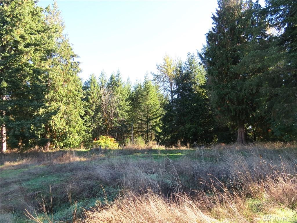 19912 230th Ave - Photo 1