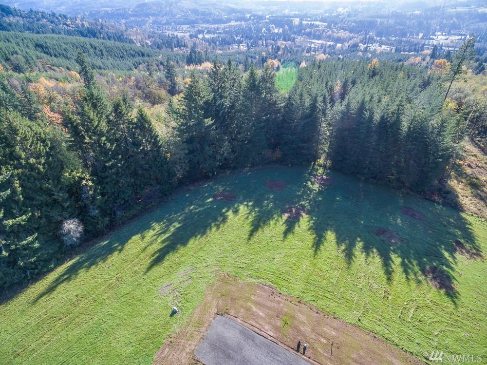350 Junco Lane - Photo 1