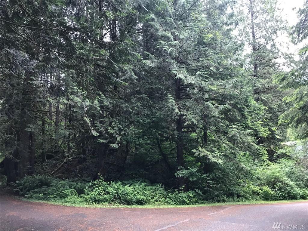 7103 Guy Peak - Photo 1