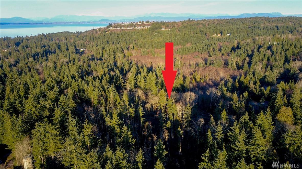 720 Camano Dr - Photo 1