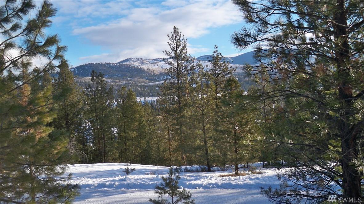 3010-TBD Usfs 3010 Rd - Photo 1