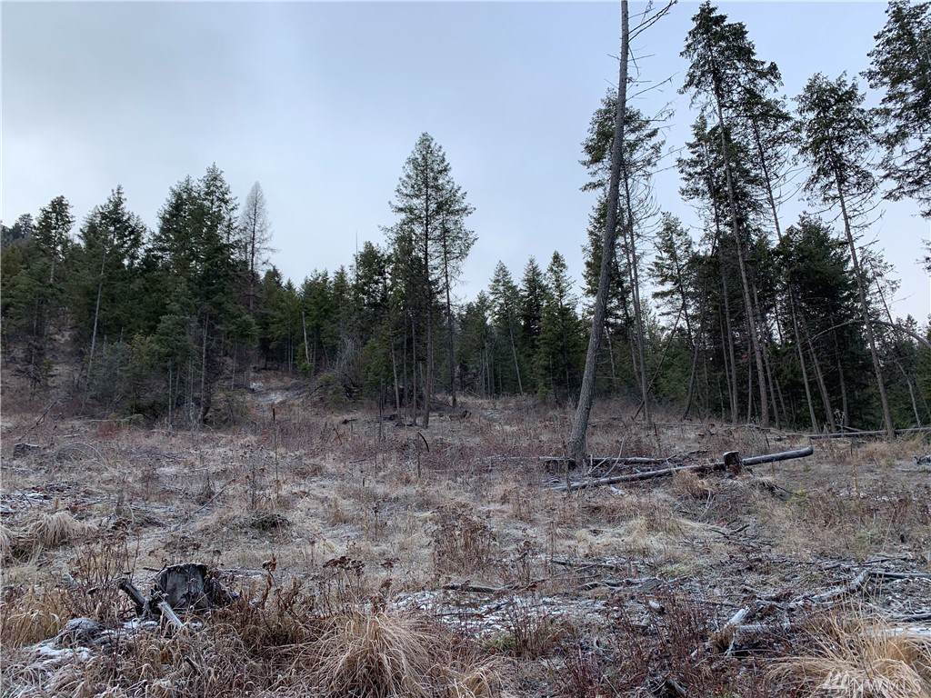 0-TBD Lambert Creek Rd - Photo 1