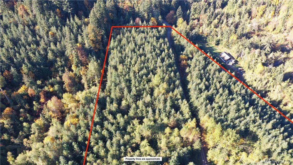 0-XX Blue Mt Rd - Photo 1