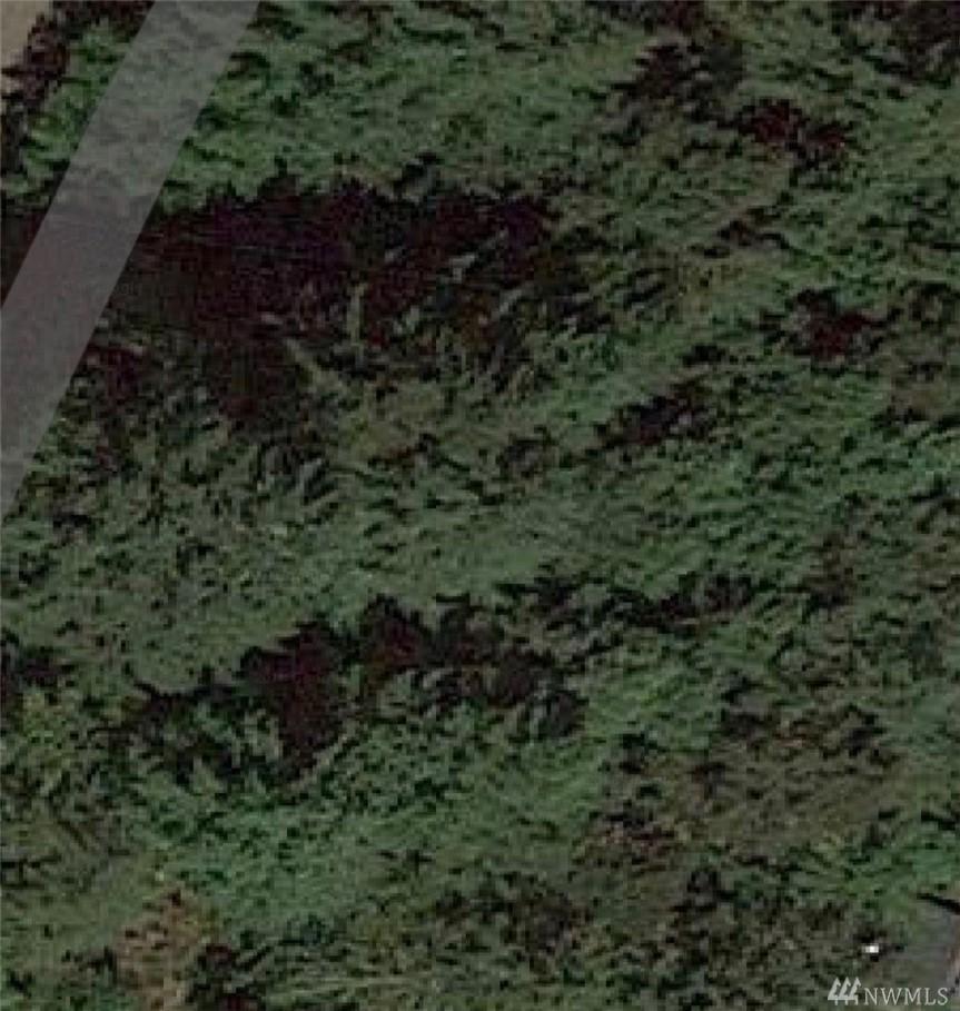 11025 Spruce Dr - Photo 1