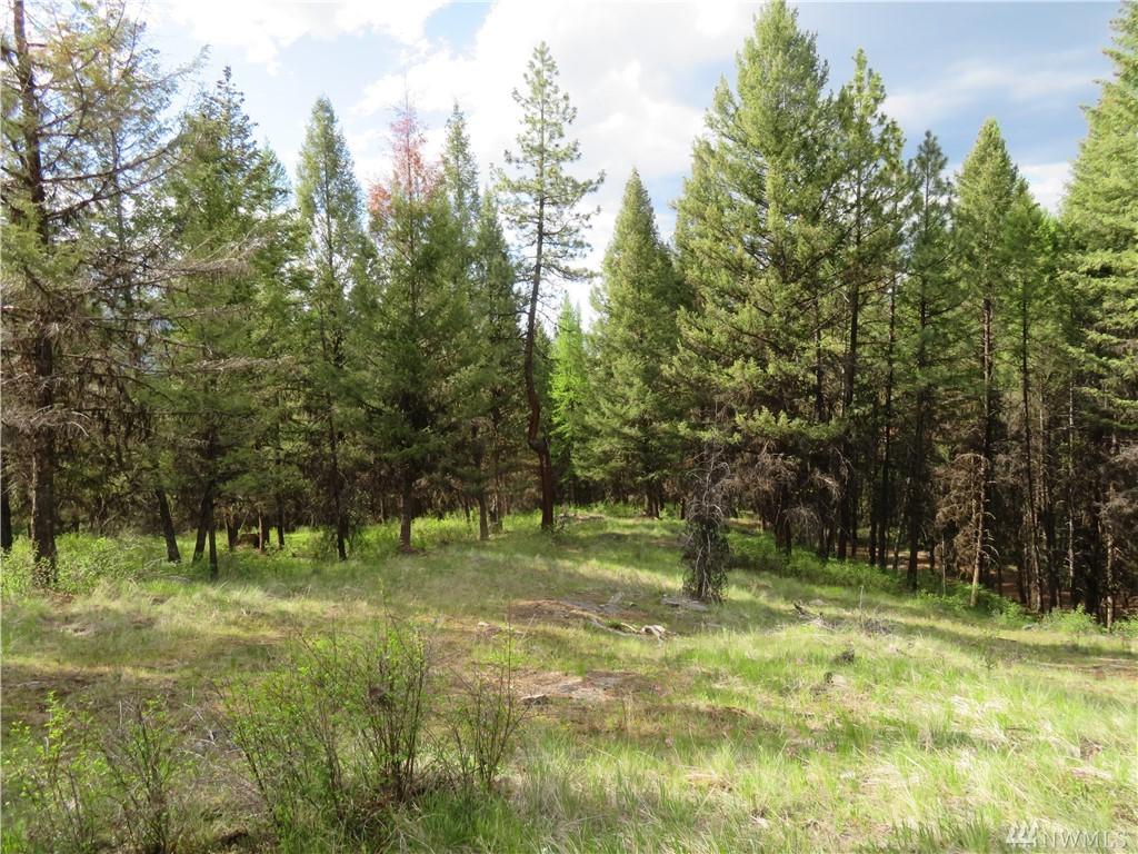 0-TBD Willys Gulch Rd - Photo 1