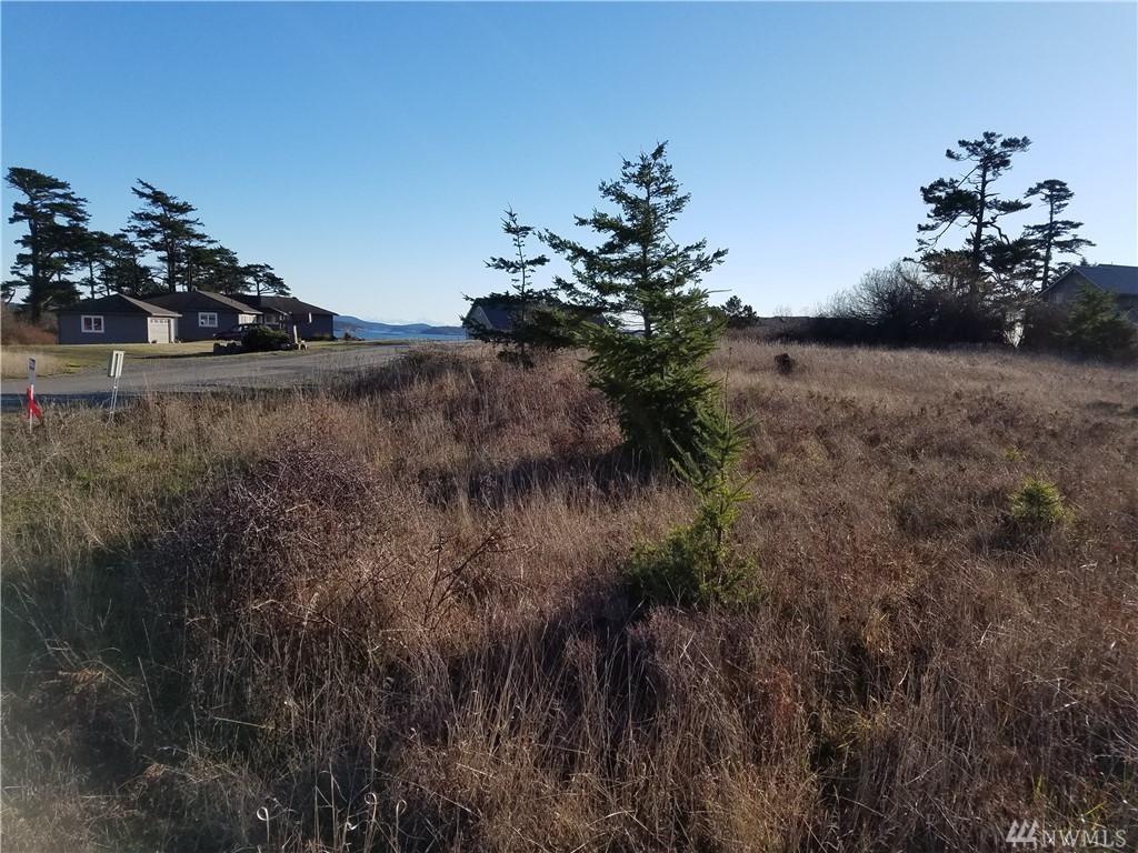 0-xxx Lighthouse Lane - Photo 1