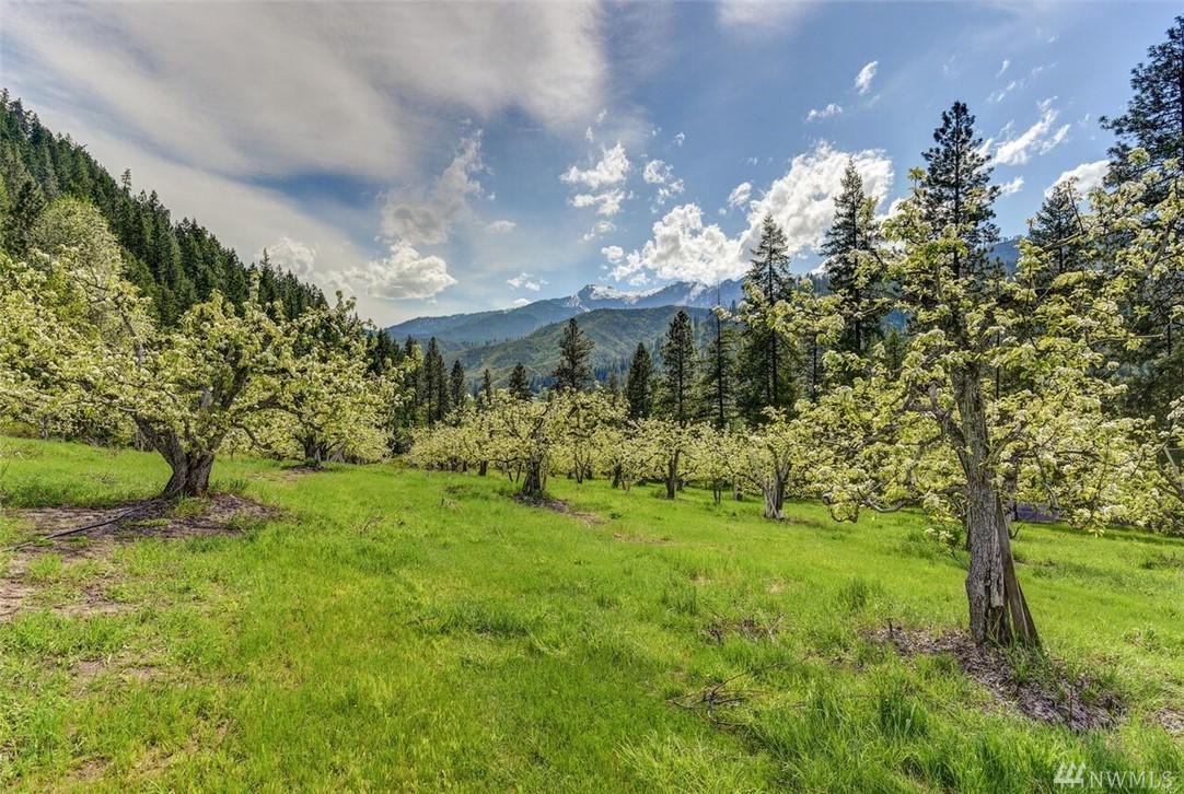 64-XX Sr 97 Blewett Pass Hwy - Photo 1