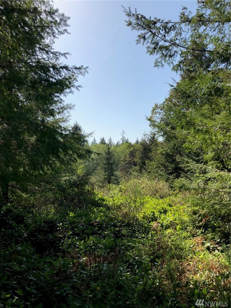 9706 Steffensen Rd - Photo 1