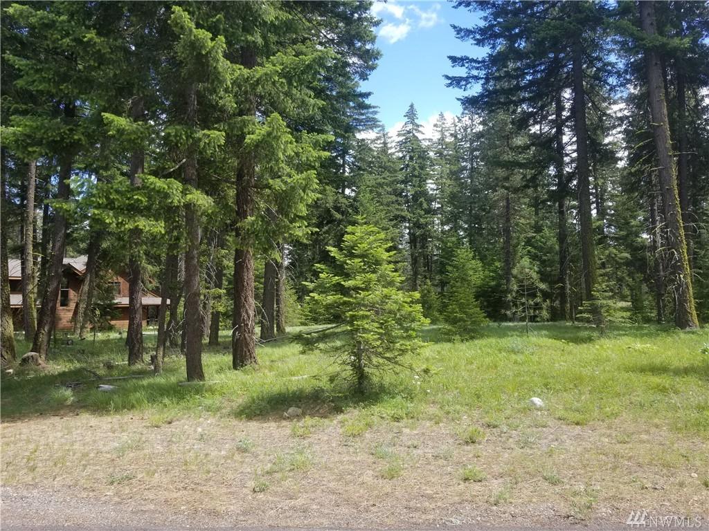 70 Wood Rose Ct - Photo 1