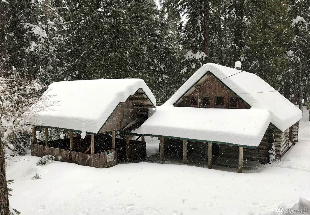 115 Silver Springs Usfs - Photo 1