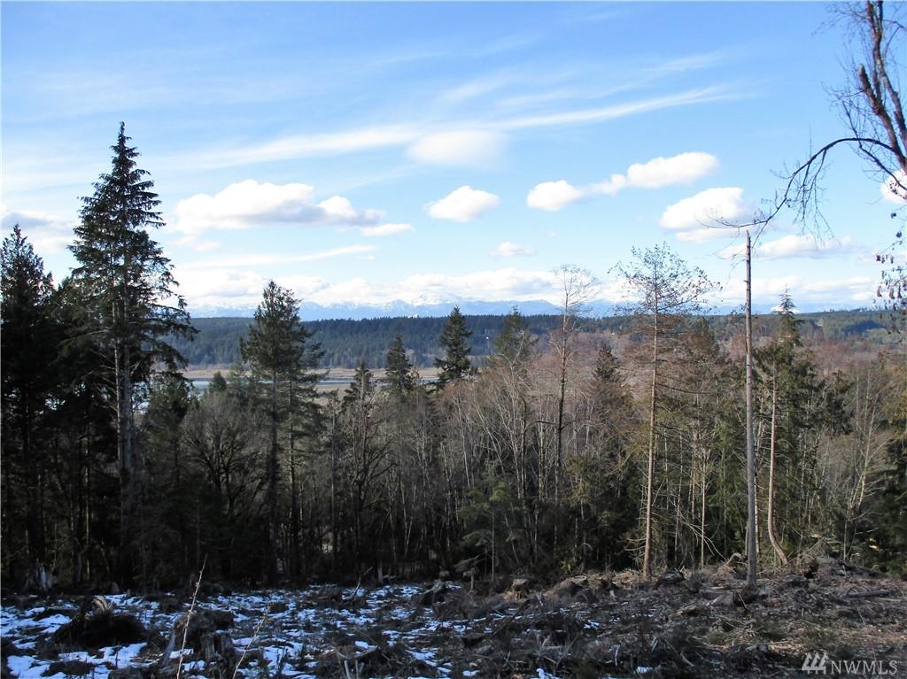 0-x Alder Creek Lane - Photo 1