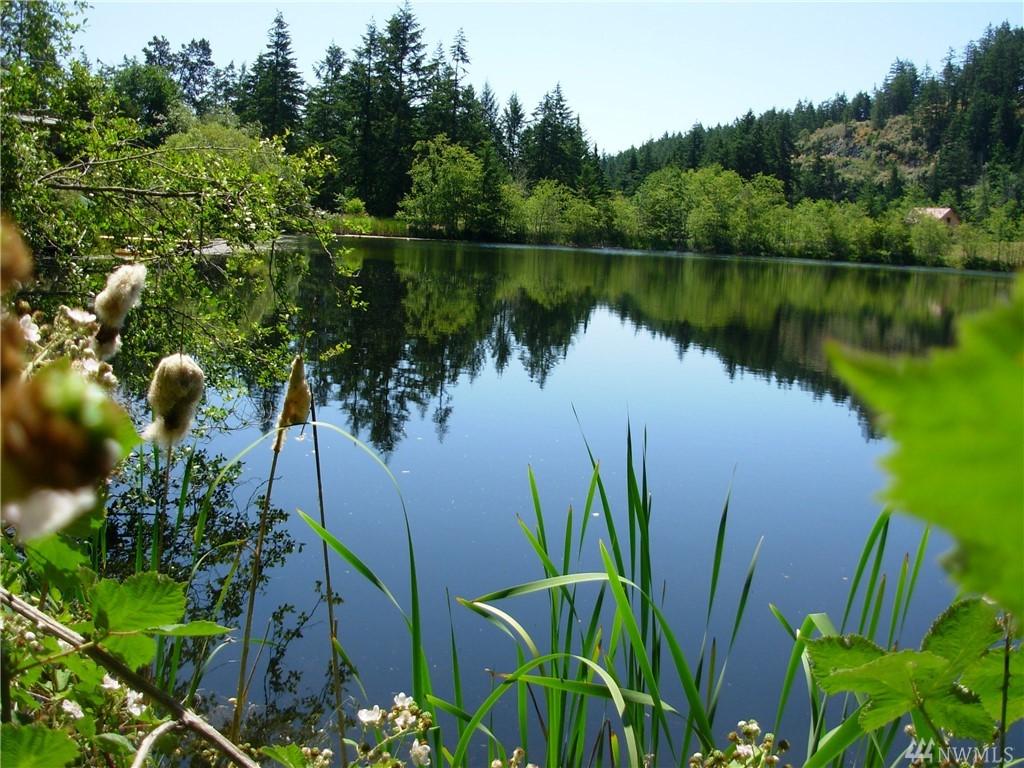 0 Egg Lake Rd - Photo 1